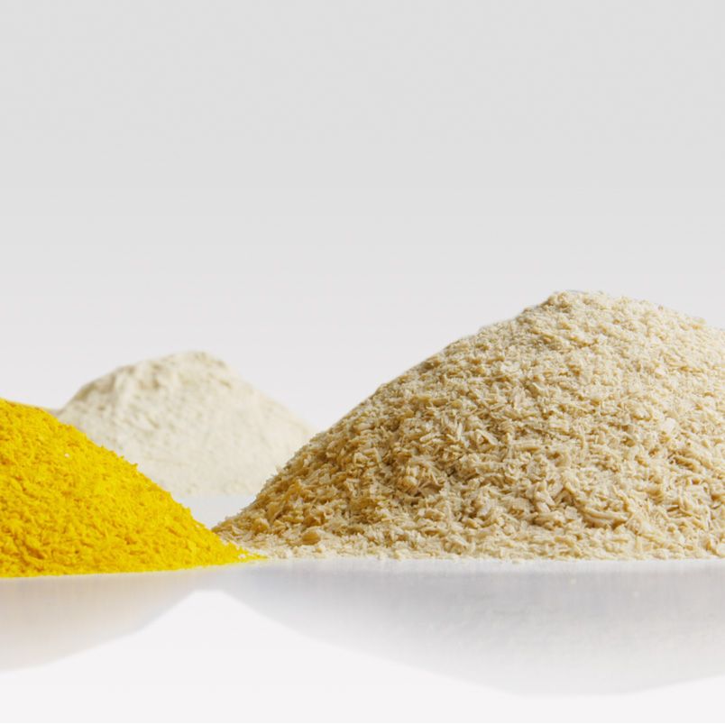 Industrial Nutritional Yeast Ingredients