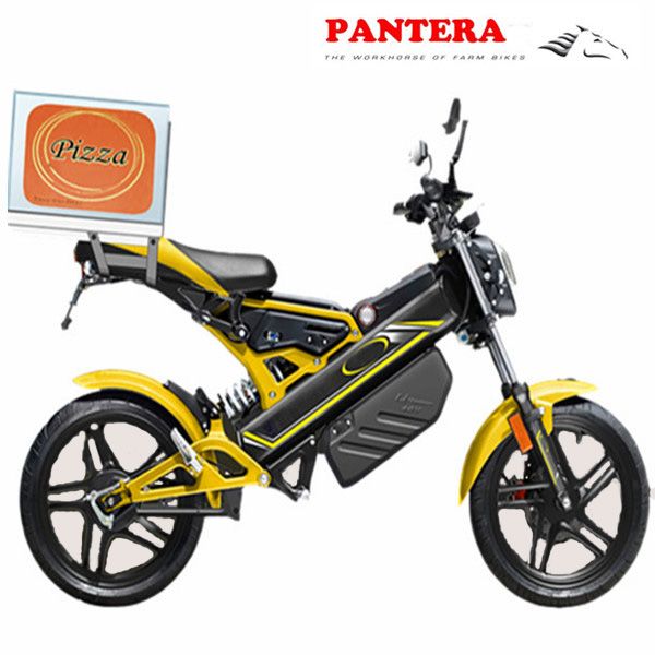 PT-E001 Cheap Popular Folding  Electric Motorcycle