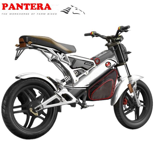 PT-E001 Cheap Popular Folding  Electric Motorcycle