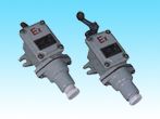 8077-1-Series explosion-proof limit switches for plants