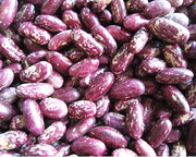 Speckled kidney beans