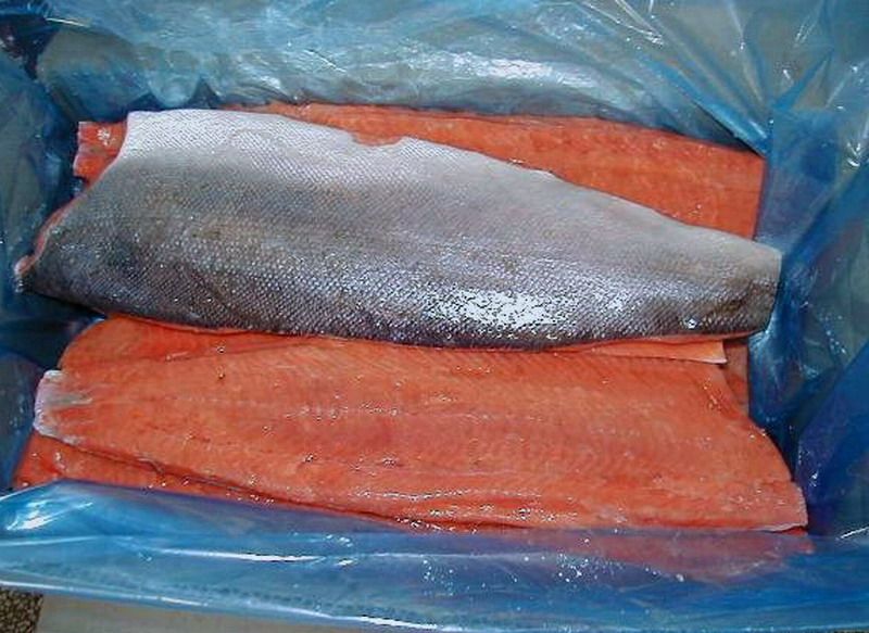 Frozen Chum/Pink Salmon Fillet/Portion