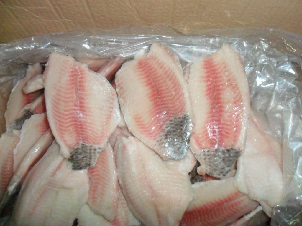 Frozen Tilapia Fillet