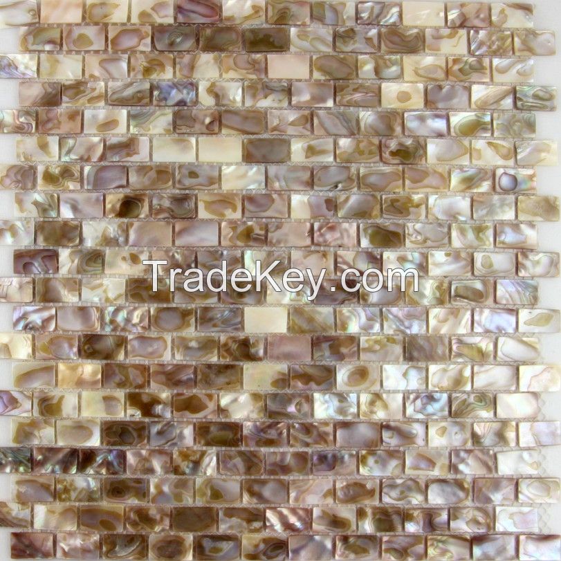 Colorful Freshwater Shell , River Shell Rainbow Mother of Pearl Mosaic Tiles