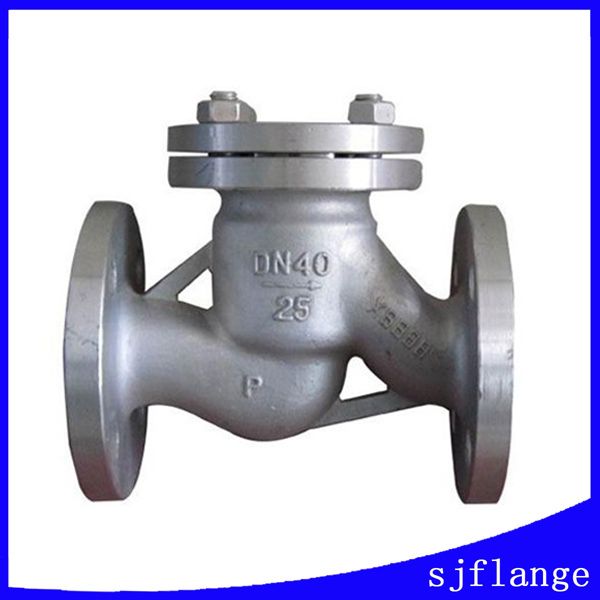 swing check valve