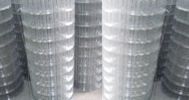 Welded Wire Mesh