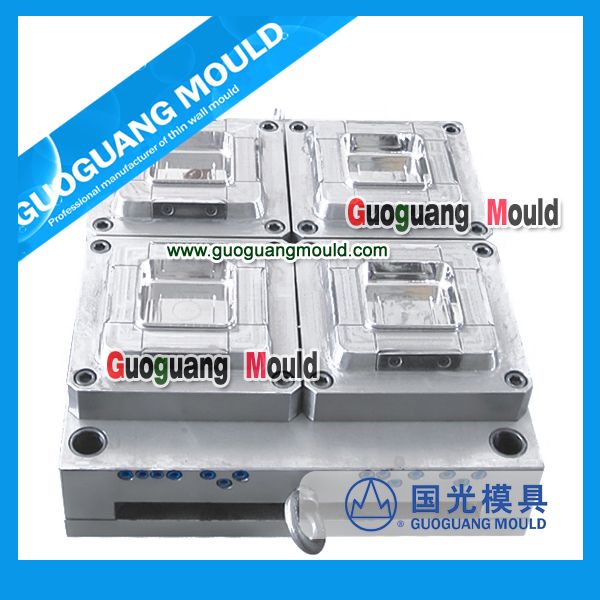 multi cavities plastic thin wall injection mould