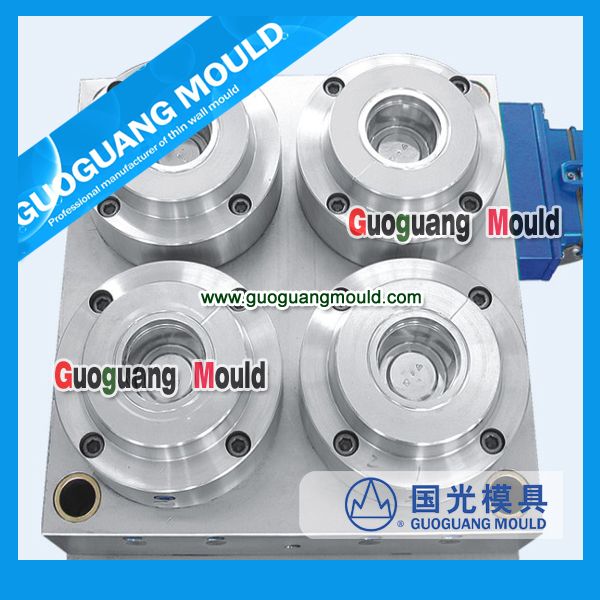 food container plastic thin wall injection mould