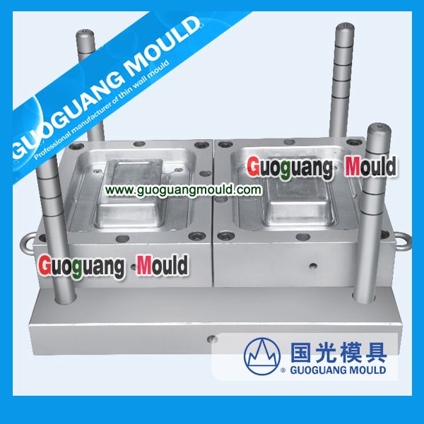 plastic thin wall injection mould