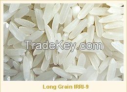 Long Grain IRRI-9 White Rice