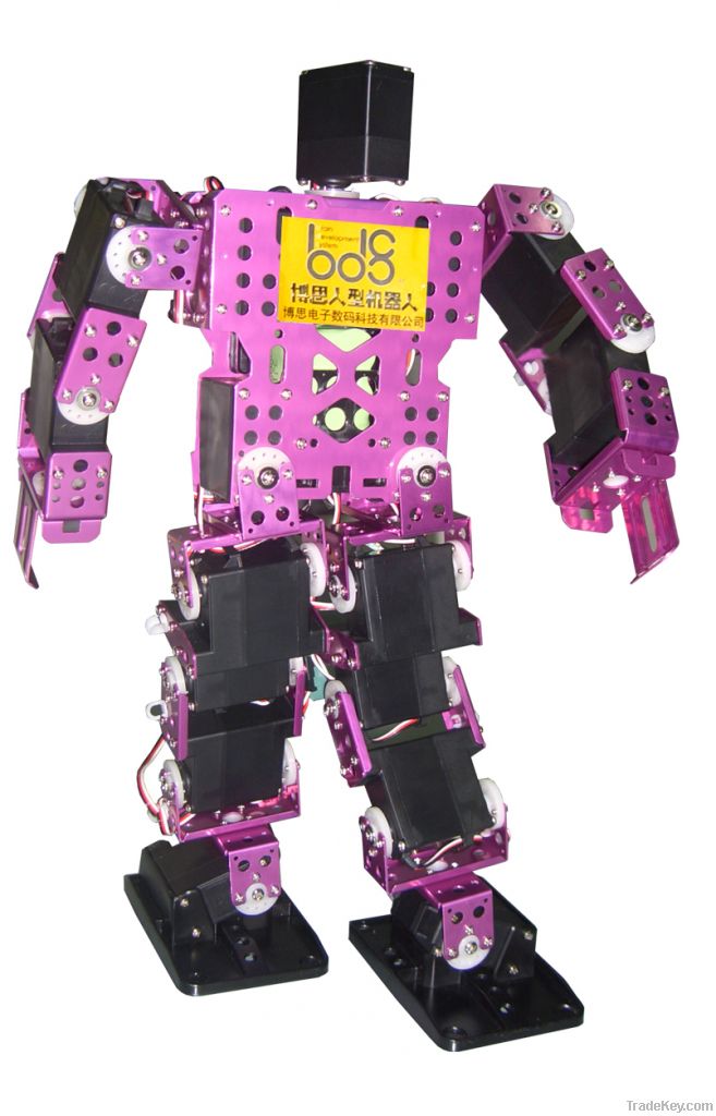 Senior Version of the Humanoid Robot