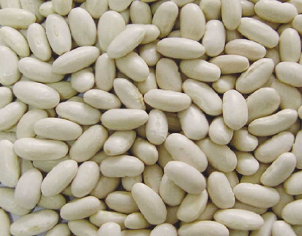  Kidney Beans