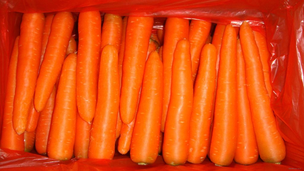 Fresh Carrots