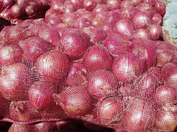 Indian Red Onions