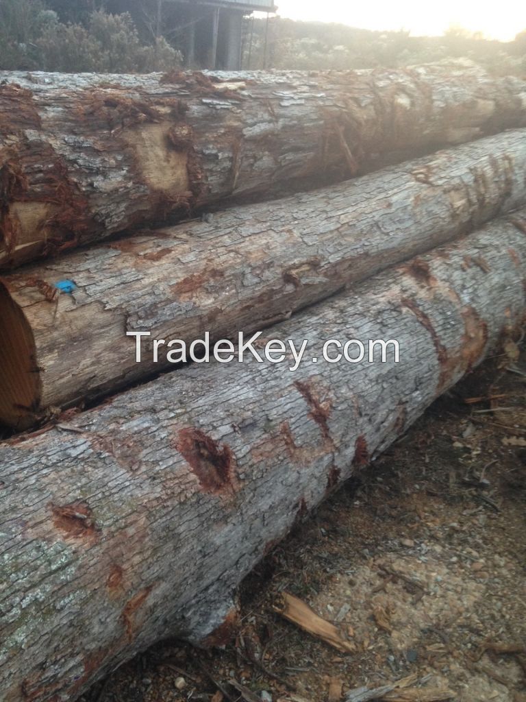 North American Hardwood and Softwood Logs and Lumber