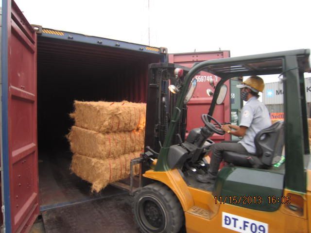 Premium Coconut Fiber Vietnam