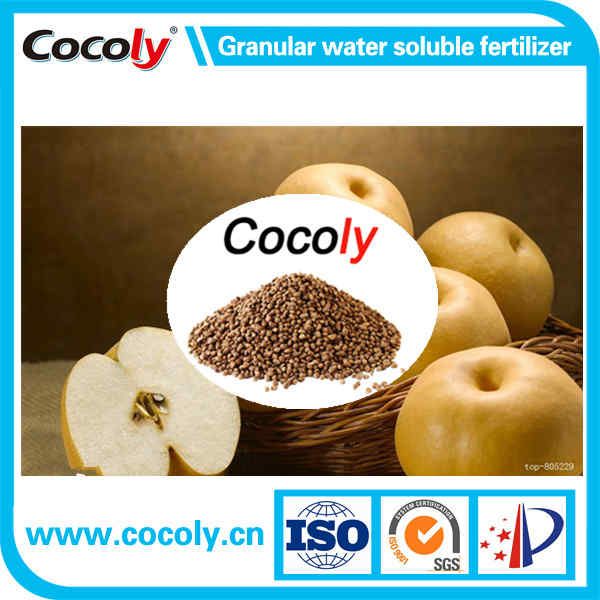 Cocoly granular water soluble fertilizer high quality