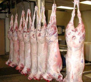 Uruguayan Ovine Lamb frozen carcase