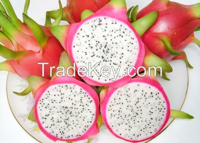 Dragon Fruit