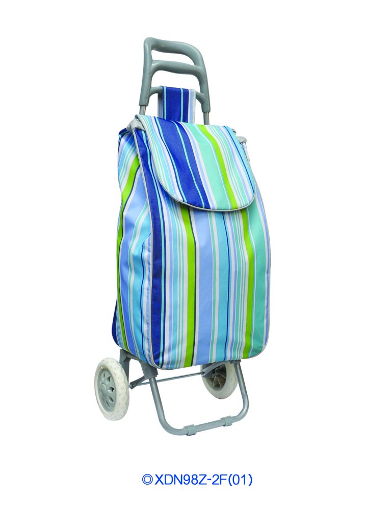 Fashion Folding Cart Trolley bag 