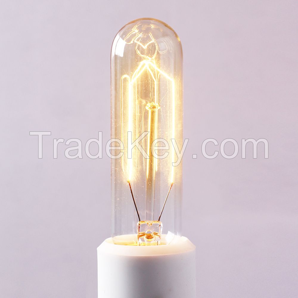 Parrot Uncle Vintage Edison Light Bulb 40w 110v Antique E26 Base 40 Watt Tungsten Tube Incandescent Bulbs, T10