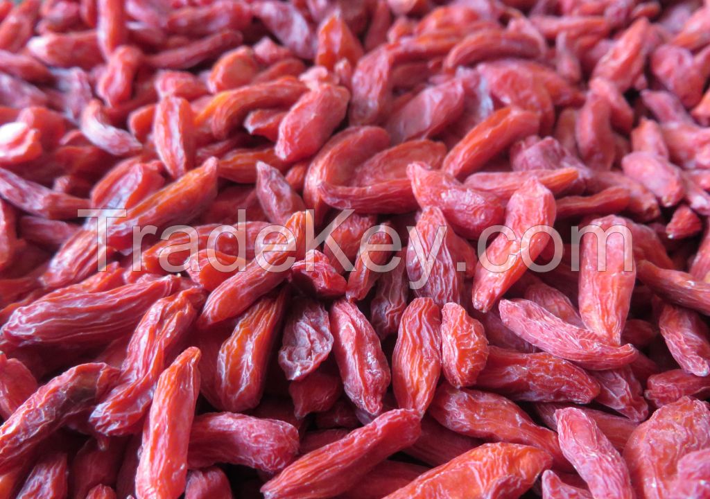 Dried Chinese Goji Berry