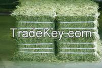 alfalfa straw
