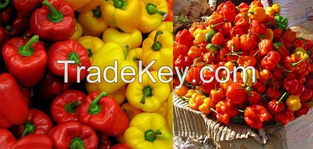 Cameroon Pepper