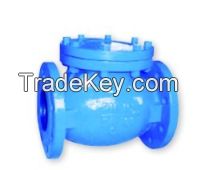 Flanged swing check valve
