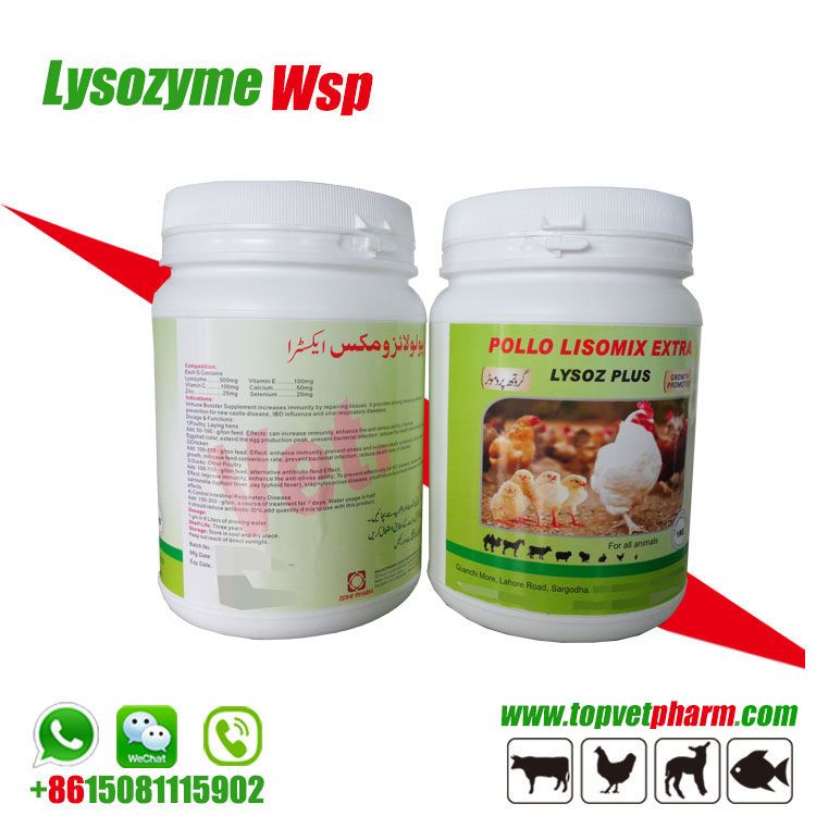 Anti-inflammatory Nutrition Supplement Enzyme Lysozyme Powder