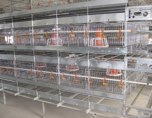 Popular Main Types Battery Cage For Broiler