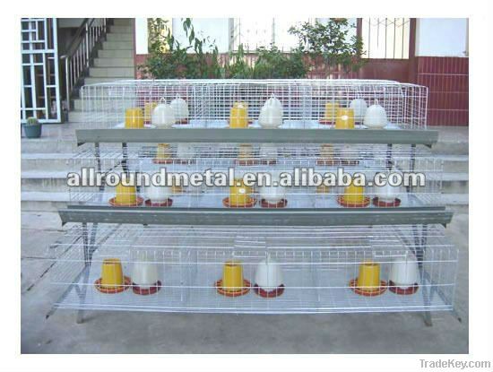 Hot sell pullet cage for poultry