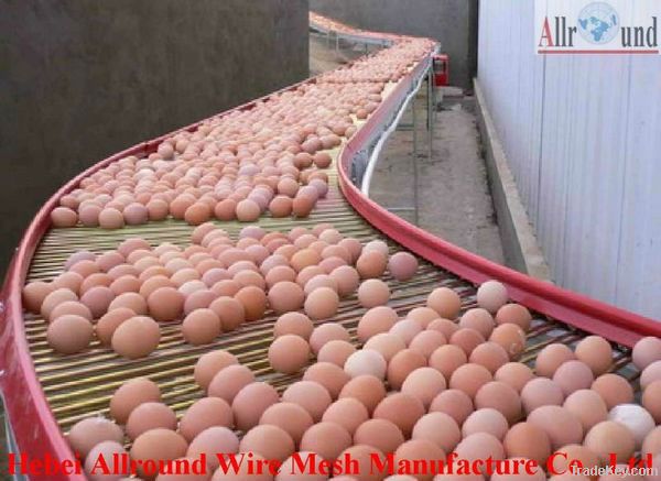 Professional Design Automatic Battery Cage