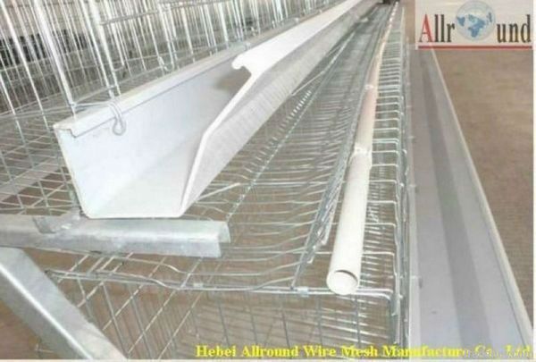 Automatic chicken cage system