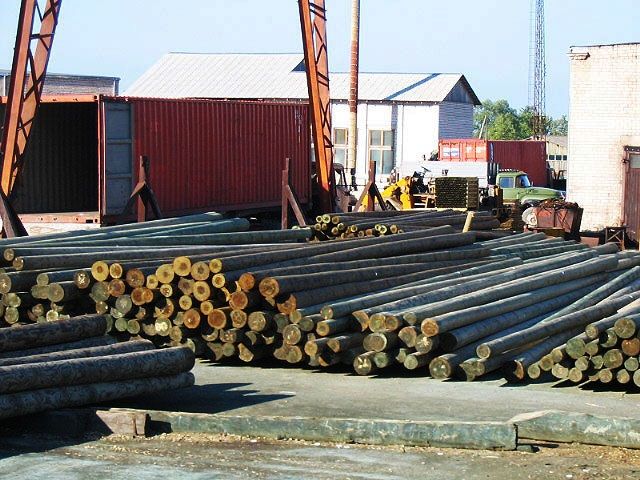treated wooden poles