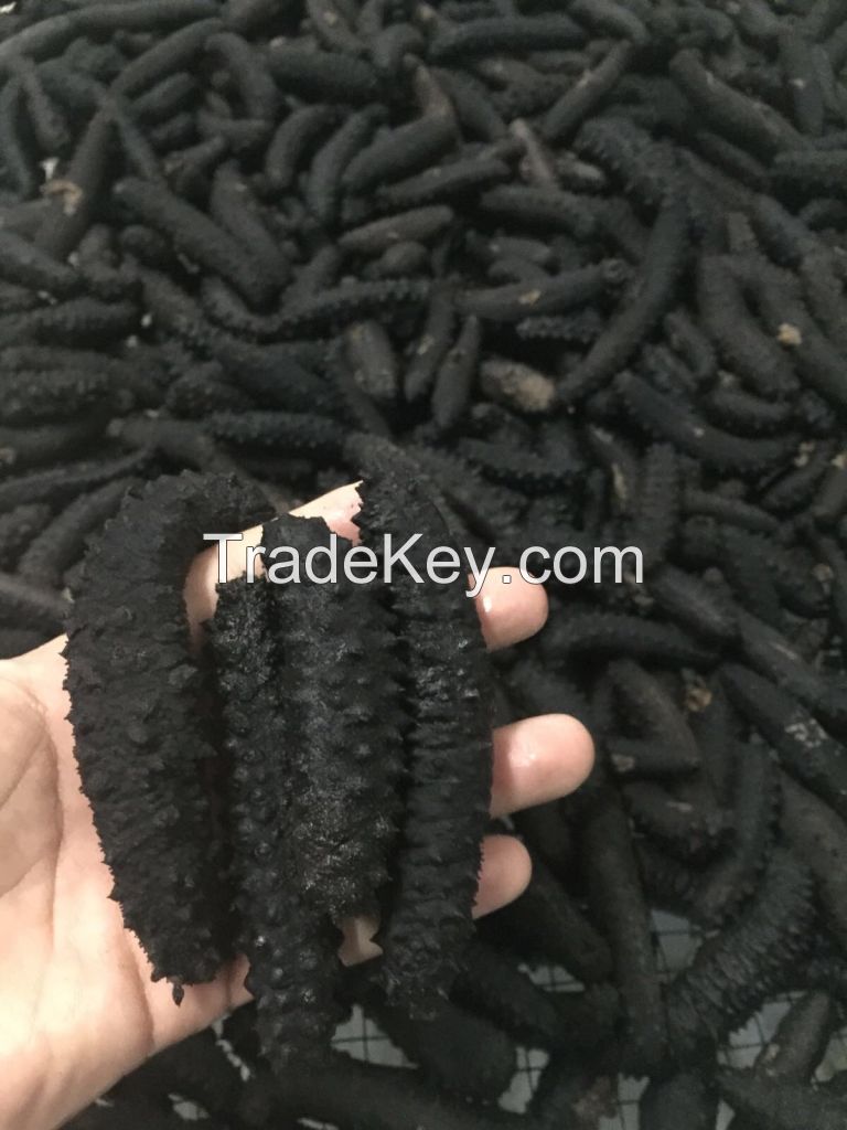 dried sea cucumber