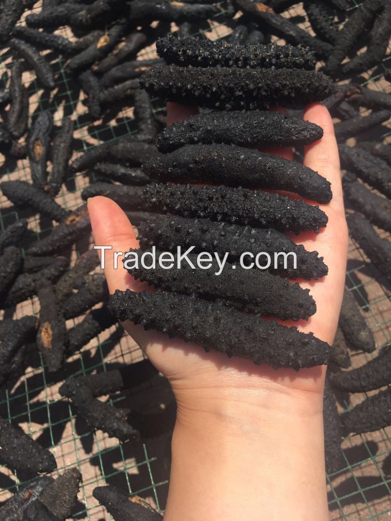 dried sea cucumber