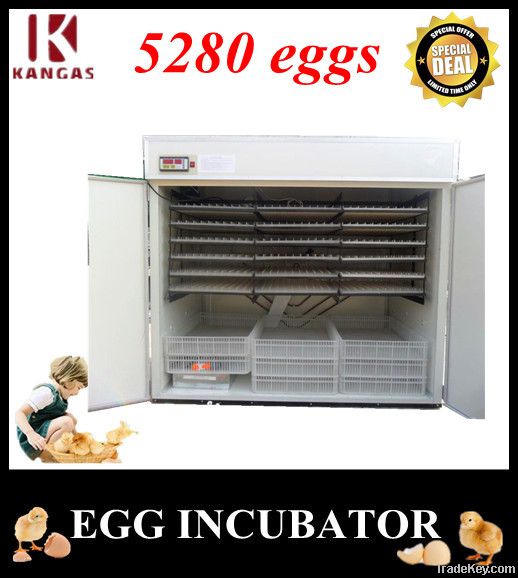 Large Capacity 5280 eggs Best Selling Wholesale Price Automatic large