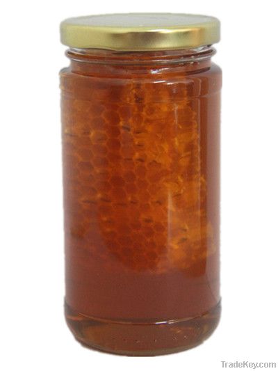 High quality Honey with comb