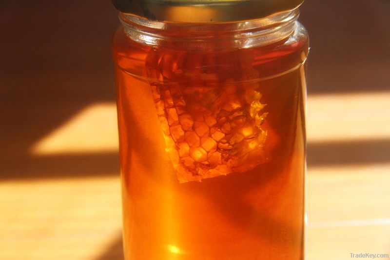 High quality Honey with comb