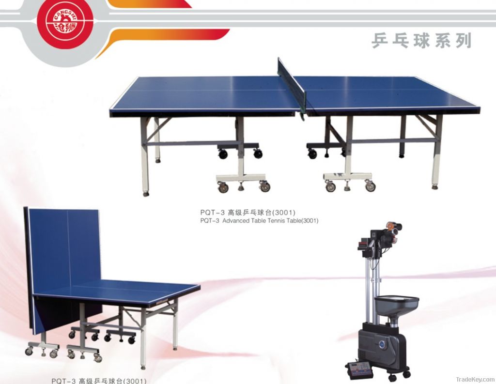 indoor outdoor table tennis table