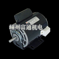 220v Single phase AC induction motor