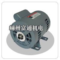 Single phase AC electric motor  for pump