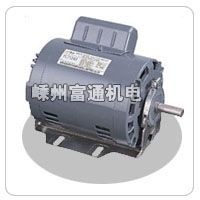 Single phase AC induction motor