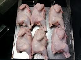 HALAL FROZEN WHOLE CHICKEN