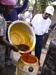 Crude red palm oil for sale
