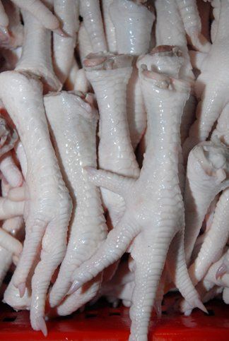 Halal Frozen chicken feets and other parts