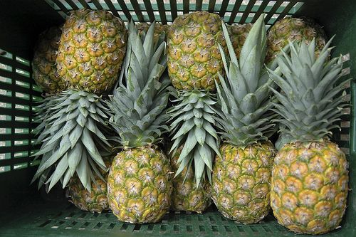 Sweet fresh pineapples for sale