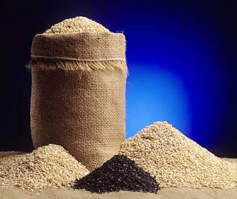 Best price Natural Sesame Seeds (Black, Brown, White) suppliers