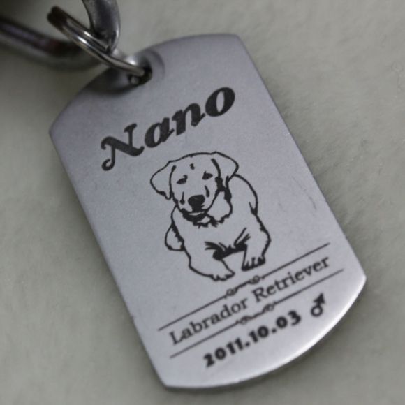 Dog Tags